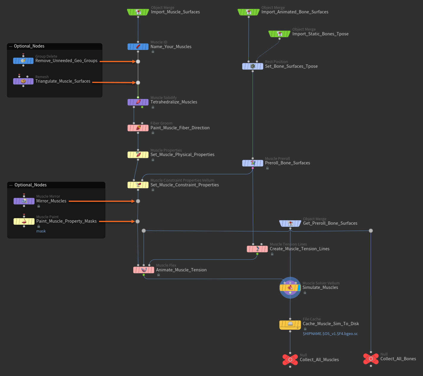 Muscles and tissue workflow